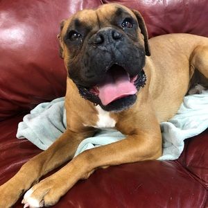 Meet your Posher, Peggy